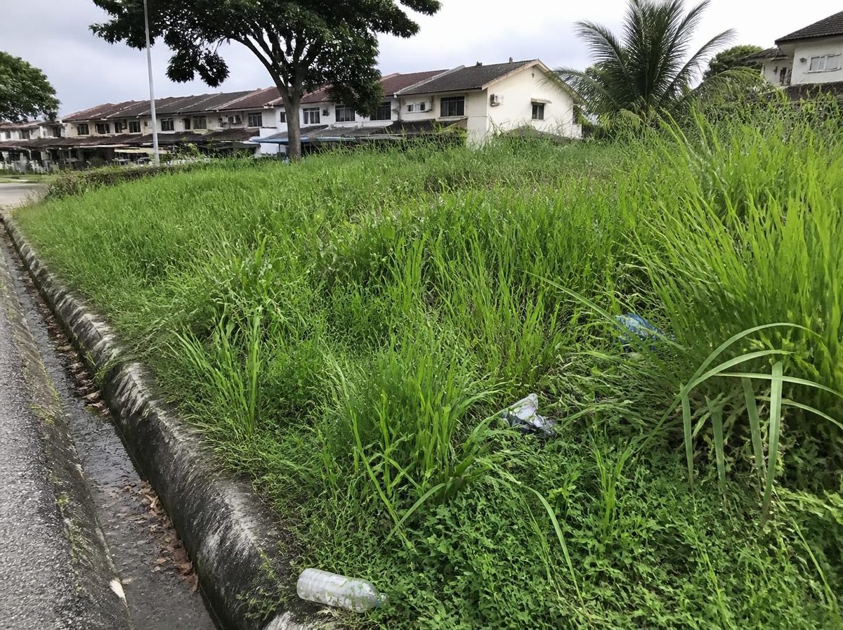 Bahu jalan dengan rumput tinggi dan sampah sebelum dipotong