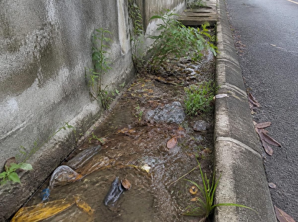 Longkang tersumbat dengan kelodak, sampah dan rumpai
